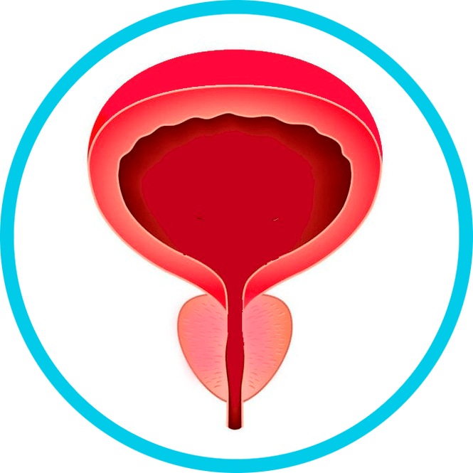 Prevence prostatitidy